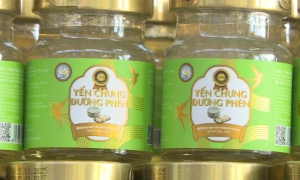 Chuyển cơ quan công an điều tra 23.468 lọ yến chưng giả