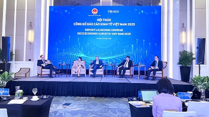 Vietnam makes remarkable economic progress: OECD report
