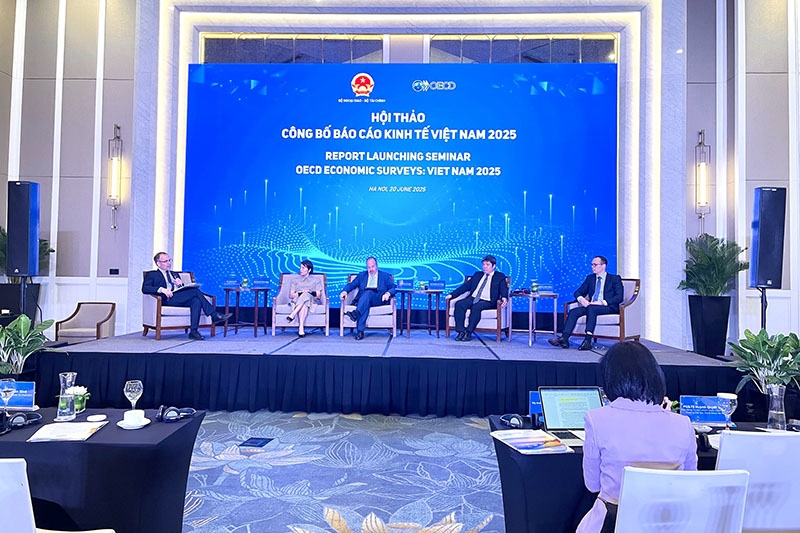 Vietnam makes remarkable economic progress: OECD report