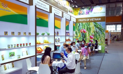 Thúc đẩy xúc tiến thương mại toàn diện trong và ngoài nước