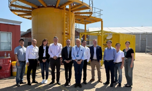 Phái đoàn năng lượng Việt Nam tìm kiếm cơ hội hợp tác điện gió ngoài khơi tại Vương quốc Anh