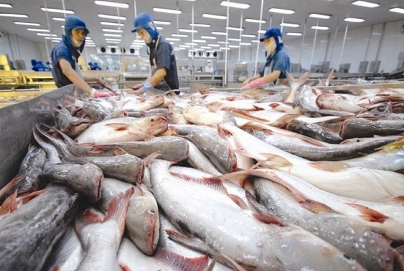 The US grants anti-dumping duty exemptions to 7 Vietnamese pangasius exporters