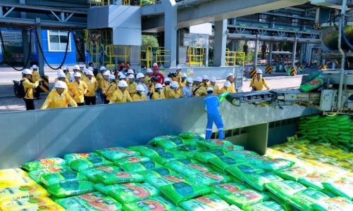 Doanh nghiệp phân bón ổn định giá bán dù nguyên liệu nhập khẩu tăng