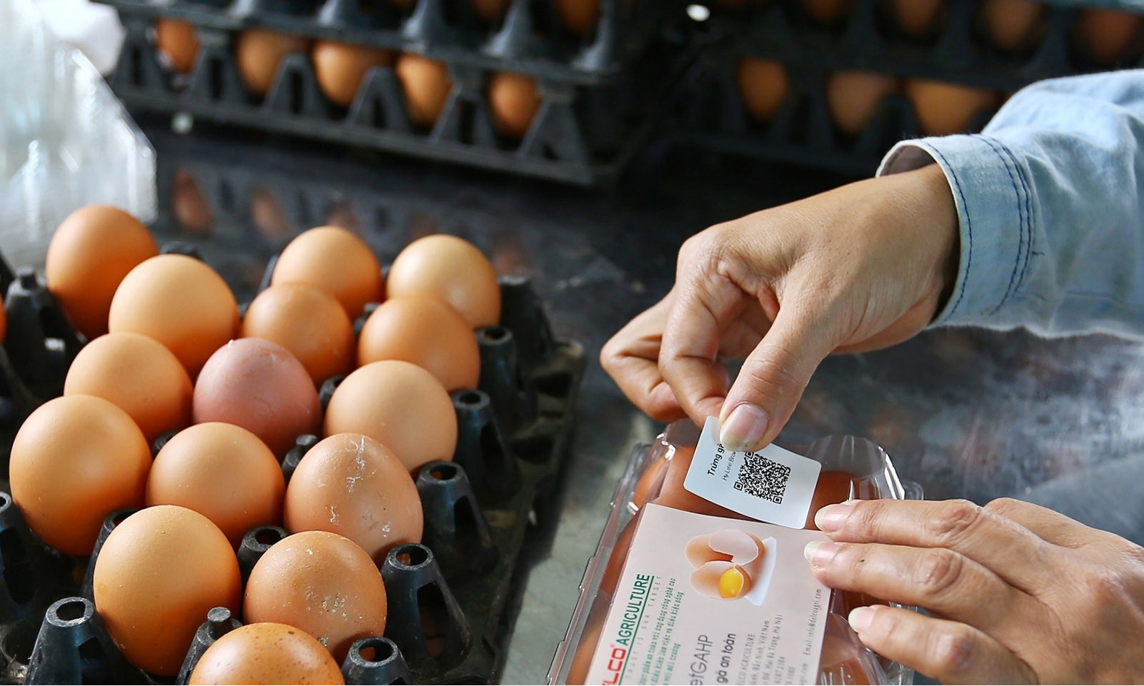 Luật Chất lượng sản phẩm, h&agrave;ng h&oacute;a quy định c&aacute;c sản phẩm phải bắt buộc gắn m&atilde; vạch để người d&ugrave;ng c&oacute; thể đọc được th&ocirc;ng qua thiết bị kỹ thuật số.