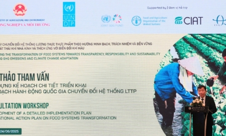 Việt Nam đẩy mạnh chuyển đổi hệ thống lương thực, thực phẩm bền vững
