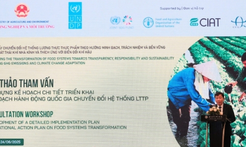 Việt Nam đẩy mạnh chuyển đổi hệ thống lương thực, thực phẩm bền vững 