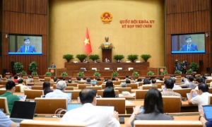 Thành lập Hội đồng bầu cử quốc gia với 19 thành viên