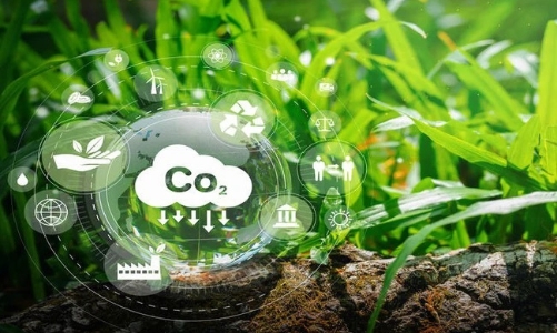 Thị trường carbon mở ra cơ hội cho doanh nghiệp khi CBAM có hiệu lực