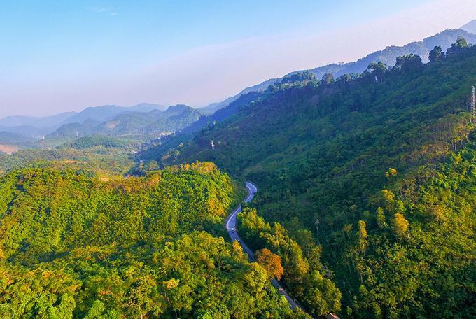 Việt Nam đã chuyển nhượng thành công hơn 10 triệu tấn CO₂ và trở thành quốc gia đầu tiên trong số 15 nước ký thỏa thuận ERPA bàn giao 100% tín chỉ ngay trong kỳ đầu tiên.
