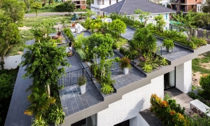 Hành động quốc gia về làm mát, hướng tới phát thải ròng bằng “0”