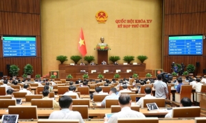 Hệ thống thanh tra tổ chức theo 2 cấp gồm Chính phủ và tỉnh, bỏ thanh tra Bộ, Tổng cục, sở, huyện