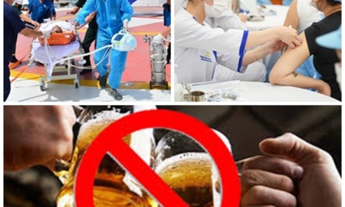 Giải thể một số tổ chức phối hợp liên ngành