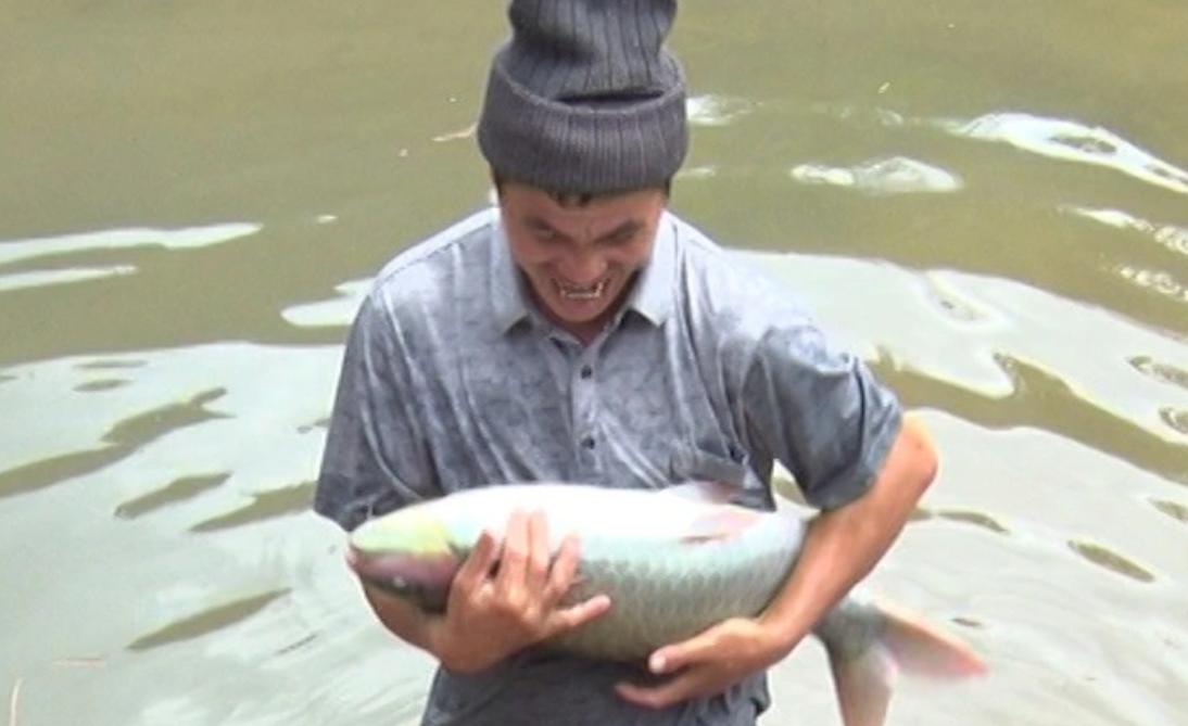 Mô hình nuôi cá giống dầm xanh tại Trung Sơn, với người khởi xướng là ông Hà Văn Khường, một nông dân người Thái cần mẫn.