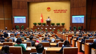 Amended Atomic Energy Law passed, paving the way for Vietnam’s safe  nuclear development
