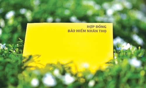 Triển vọng thị trường bảo hiểm nhân thọ sau giai đoạn tái cấu trúc sản phẩm