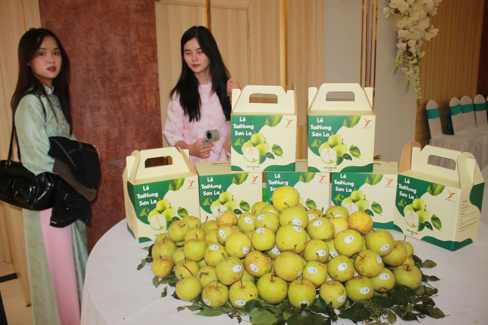 Một số trái cây Sơn La trưng bày tại Diễn đàn. Ảnh: Chu Khôi