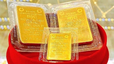 Domestic gold prices keep upward trend 