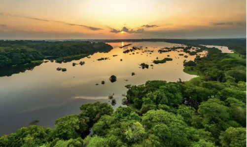 EU đề xuất mua tín chỉ carbon bên ngoài để đạt mục tiêu khí hậu