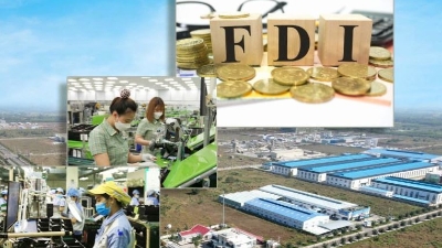 FDI investments reaches $21.51 billion in first half of 2025 
