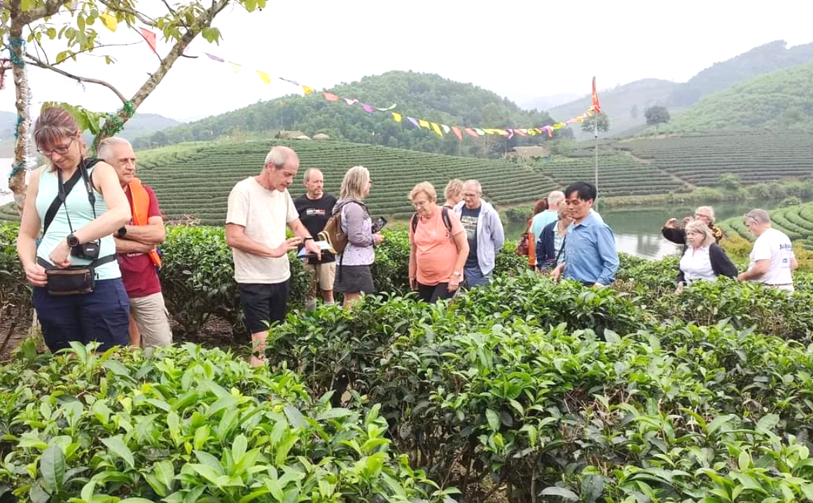 Du khách đến từ châu Âu đã tìm đến và rất thích thú trước vẻ đẹp độc đáo khi đến thưởng ngoạn đảo chè Thanh Chương.