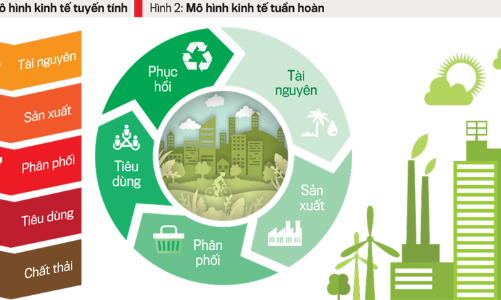 Kinh tế tuần hoàn sẽ được ưu tiên triển khai ở 10 lĩnh vực trọng điểm tại Huế
