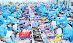 Nỗ lực duy trì đà tăng trưởng xuất khẩu nông, lâm, thủy sản