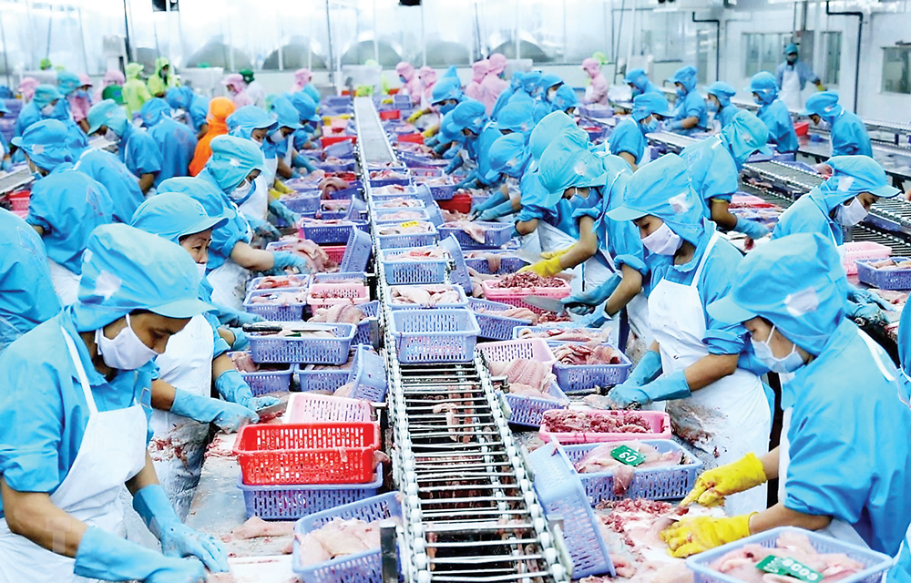 Xuất khẩu thuỷ sản trong nửa cuối năm sẽ gặp nhiều khó khăn.