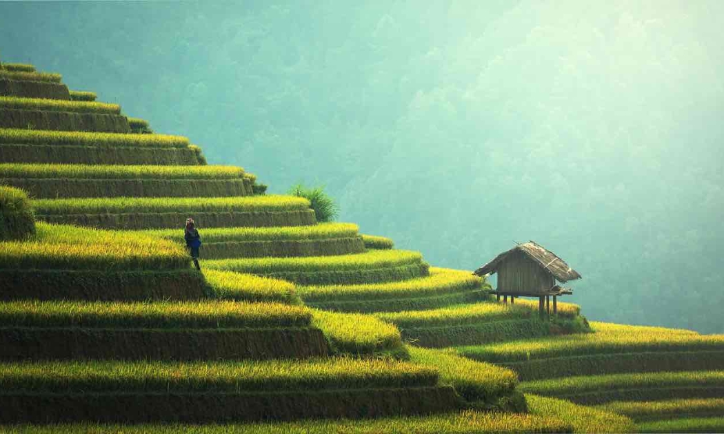 Ảnh minh họa.