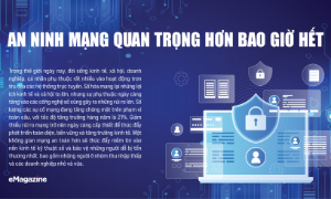 An ninh mạng quan trọng hơn bao giờ hết