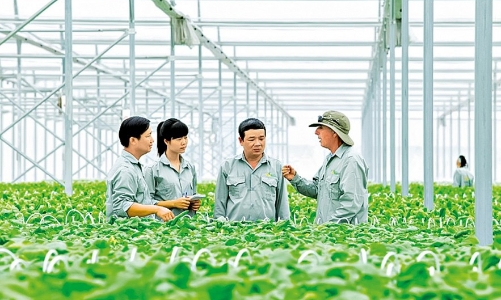 Chính thức có tiêu chí môi trường và xác nhận dự án đầu tư thuộc danh mục phân loại xanh