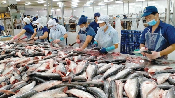 Xuất khẩu thuỷ sản sang Mỹ suy giảm mạnh trong tháng 6/2025