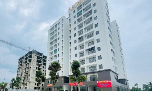 Thanh Hóa đẩy nhanh tiến độ hàng loạt dự án nhà ở xã hội