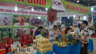 Vietnam and African nations to share OCOP experience 