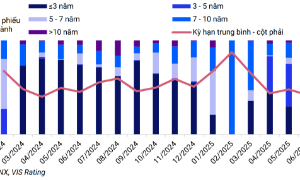 Phát hành trái phiếu doanh nghiệp tháng 6/2025 đạt kỷ lục