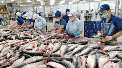 Vietnam's seafood exports hit $5.2 billion in H1