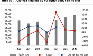 Lợi nhuận ngân hàng: Lợi thế tăng trưởng thuộc về nhóm tập trung cho vay bất động sản?
