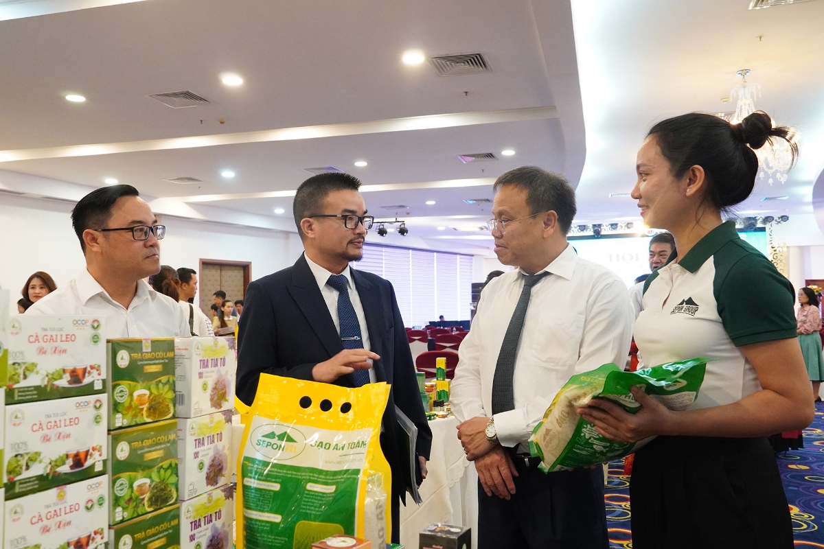 Phó Chủ tịch UBND tỉnh Lê Đức Tiến và các doanh nghiệp nước ngoài tham quan gian hàng của các doanh nghiệp Bắc Trung Bộ