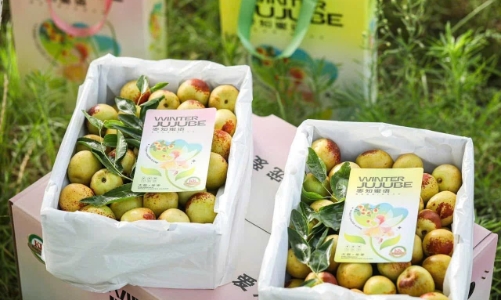 Trái cây Trung Quốc được bày bán tràn ngập chợ Việt