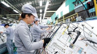 Right policy vision crucial for growth