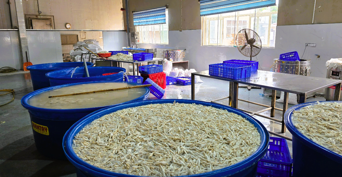 Hình ảnh chân gà ngâm hóa chất tại kho đông lạnh Thanh Bình.