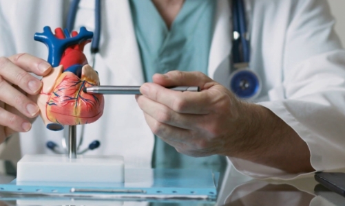 Nâng tầm chất lượng điều trị tim mạch theo chuẩn quốc tế