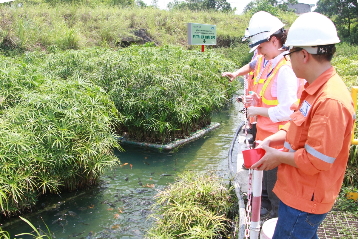 Khu vực bảo vệ m&ocirc;i trường tại Masan High-Tech Materials.