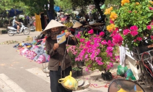 Bộ trưởng Y tế trả lời kiến nghị về giảm độ tuổi hưởng trợ cấp hưu trí xuống còn 70 tuổi