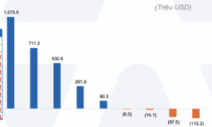 ETF Việt Nam bất ngờ hút tiền mạnh nhất Đông Nam Á