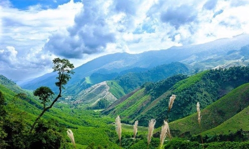 Gần 136 tỷ đồng chi trả giảm phát thải khí nhà kính cho các chủ rừng tại Huế