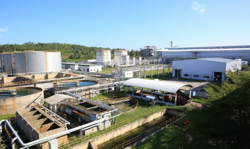 BSR - Hành trình chuyển đổi năng lượng và nhiên liệu xanh