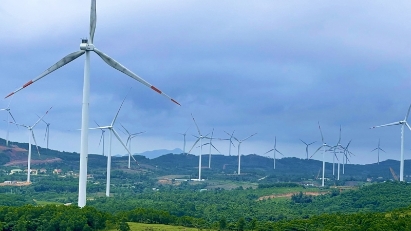 $57 mln wind farm in Quang Tri powers up for commercial launch