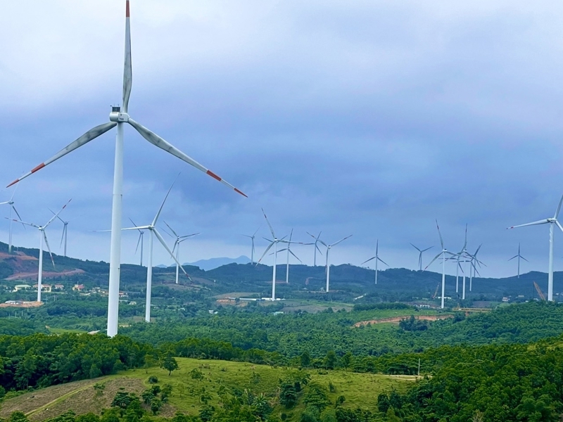 $57 mln wind farm in Quang Tri powers up for commercial launch