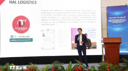 Vietnam and Laos co-host seminar to boost cross-border e-commerce