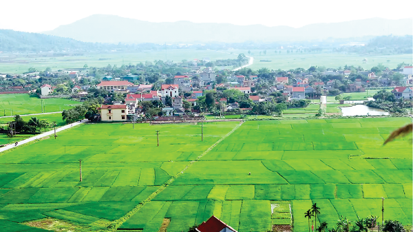 Chính sách đất đai mới góp phần phát triển nông nghiệp 